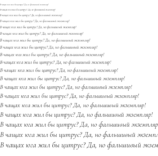 Specimen for Cormorant Light Italic (Cyrillic script).