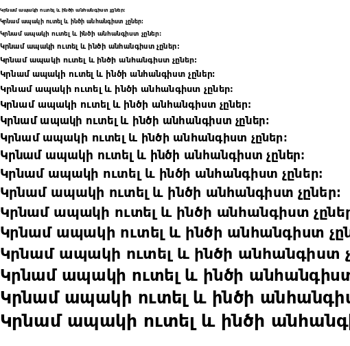 Specimen for DejaVu Sans Bold (Armenian script).