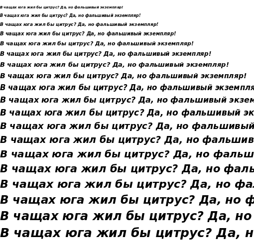Specimen for DejaVu Sans Bold Oblique (Cyrillic script).
