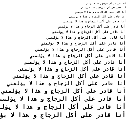 Specimen for DejaVu Sans Mono Bold (Arabic script).