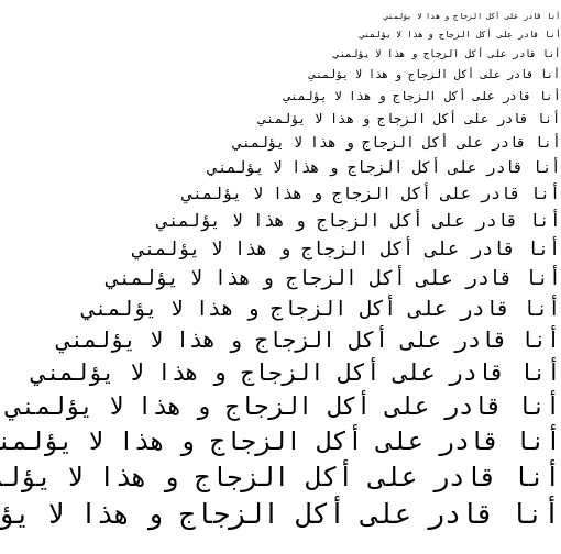Specimen for DejaVu Sans Mono Book (Arabic script).