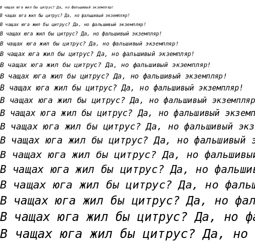 Specimen for DejaVu Sans Mono Oblique (Cyrillic script).