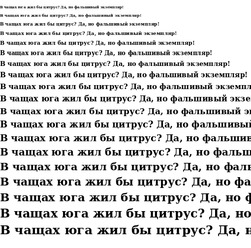 Specimen for DejaVu Serif Bold (Cyrillic script).