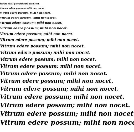 Specimen for DejaVu Serif Bold Italic (Latin script).