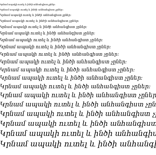 Specimen for DejaVu Serif Italic (Armenian script).