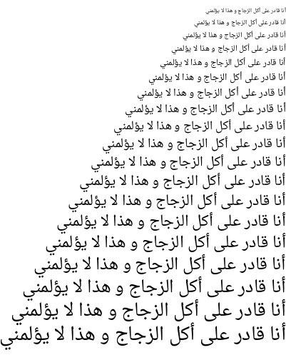 Specimen for Droid Arabic Naskh Regular (Arabic script).