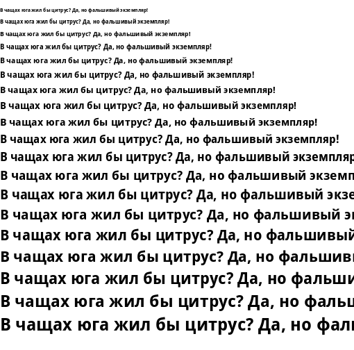 Specimen for Droid Sans Bold (Cyrillic script).