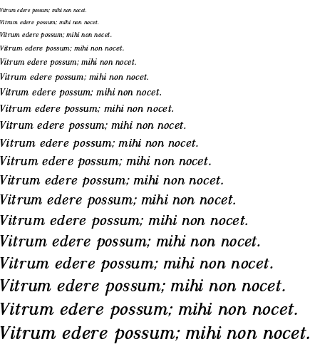 Specimen for Dustismo Roman Bold Italic (Latin script).