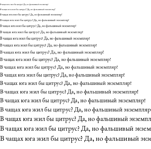 Specimen for EB Garamond 08 Regular (Cyrillic script).