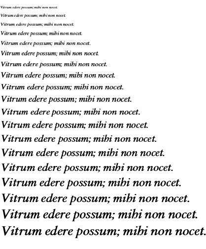 Specimen for Efont Serif Bold Italic (Latin script).