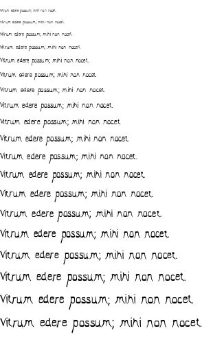 Specimen for El Abogado Loco Regular (Latin script).