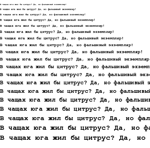 Specimen for FreeMono Bold (Cyrillic script).