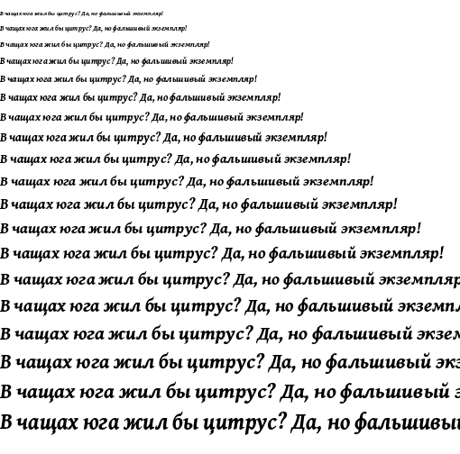 Specimen for Gentium Book Plus Bold Italic (Cyrillic script).