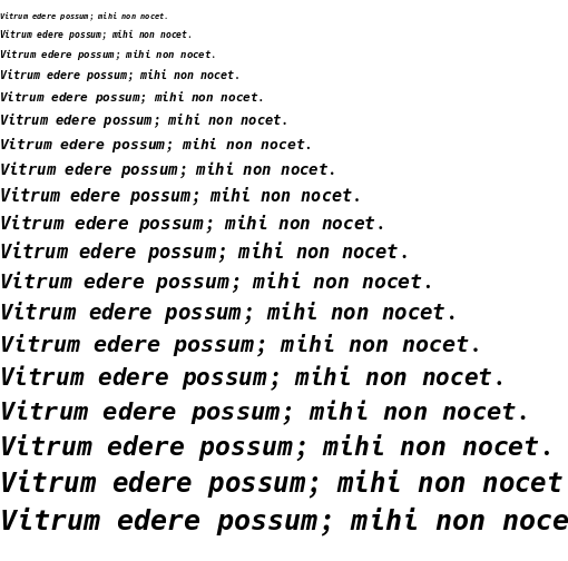 Specimen for Hack Bold Italic (Latin script).