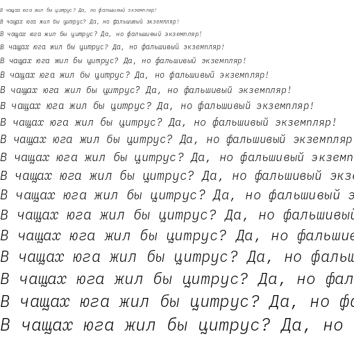 Specimen for IBM Plex Mono Light Italic (Cyrillic script).
