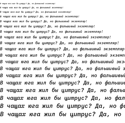 Specimen for IBM Plex Mono Medium Italic (Cyrillic script).