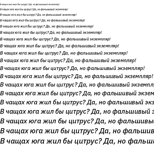 Specimen for IBM Plex Sans Medium Italic (Cyrillic script).