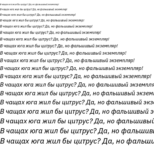 Specimen for IBM Plex Sans Text Italic (Cyrillic script).