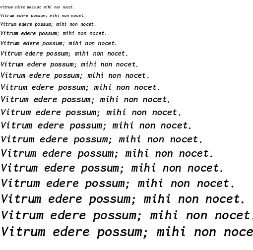 Specimen for Inconsolata LGC Bold-Italic (Latin script).