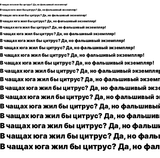 Specimen for Inter Black (Cyrillic script).