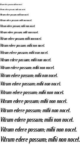 Specimen for King Richard Italic (Latin script).