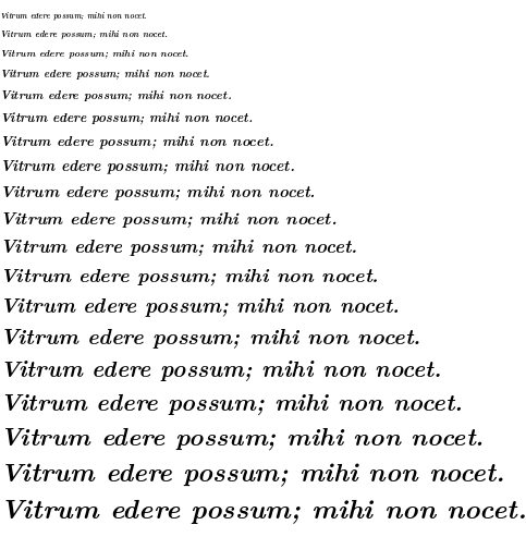 Specimen for Latin Modern Roman 10 Bold Italic (Latin script).