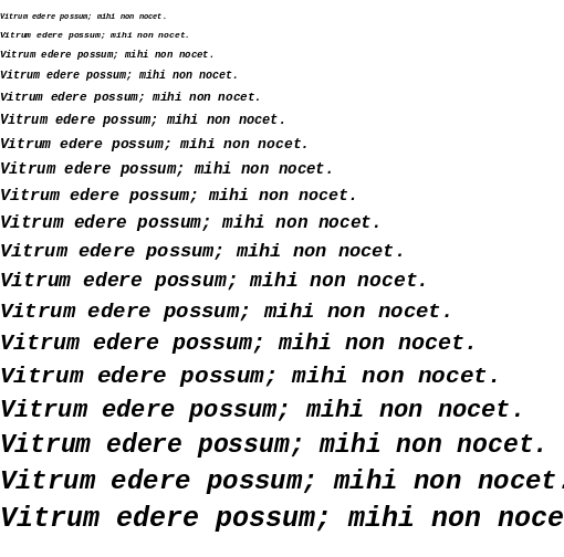 Specimen for Liberation Mono Bold Italic (Latin script).
