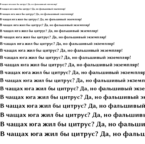 Specimen for Libertinus Sans Bold (Cyrillic script).