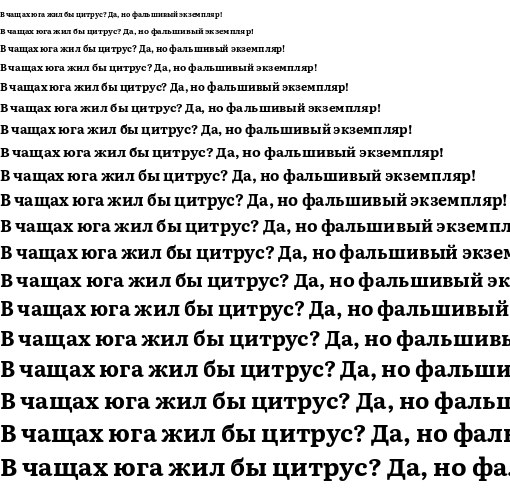 Specimen for Literata 12pt Bold (Cyrillic script).