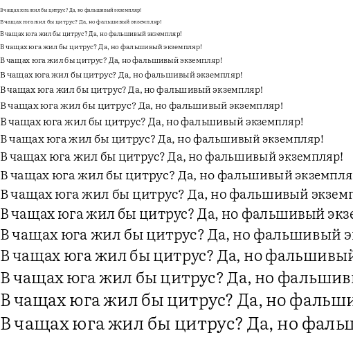Specimen for Literata 12pt Light (Cyrillic script).