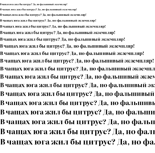 Specimen for Literata 72pt Bold (Cyrillic script).