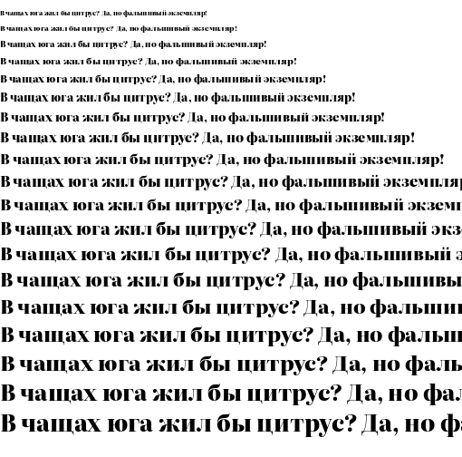 Specimen for Literata 72pt ExtraBold (Cyrillic script).