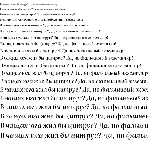 Specimen for Literata 72pt Medium Italic (Cyrillic script).
