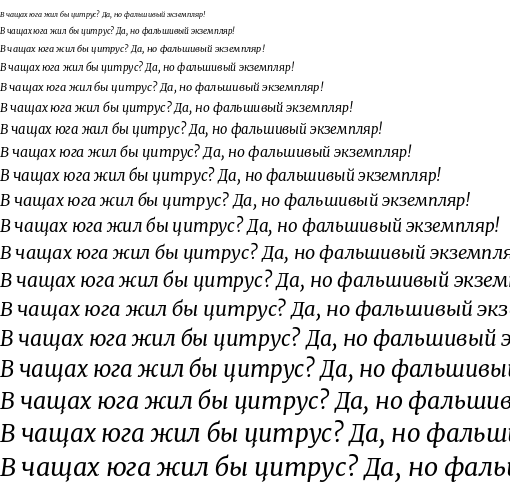 Specimen for Merriweather Italic (Cyrillic script).