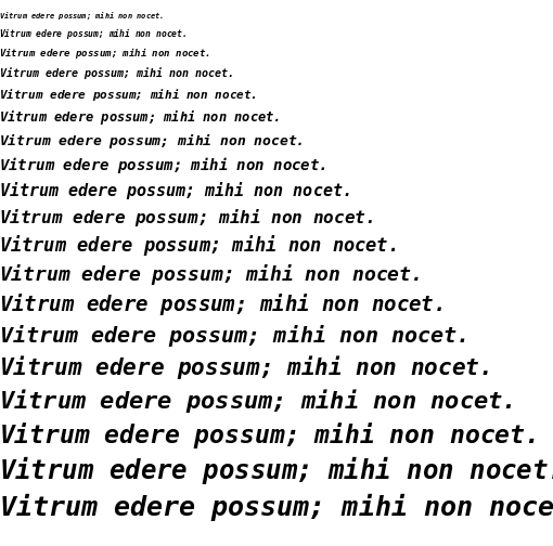 Specimen for Meslo LG S Bold Italic (Latin script).