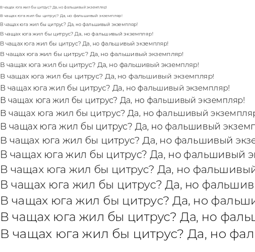 Specimen for Montserrat Light (Cyrillic script).