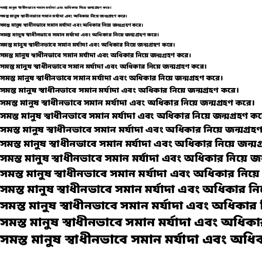 Specimen for Noto Sans Bengali Black (Bengali script).