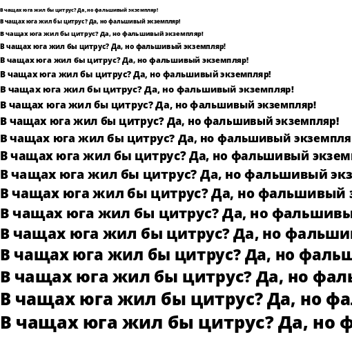 Specimen for Noto Sans Black (Cyrillic script).