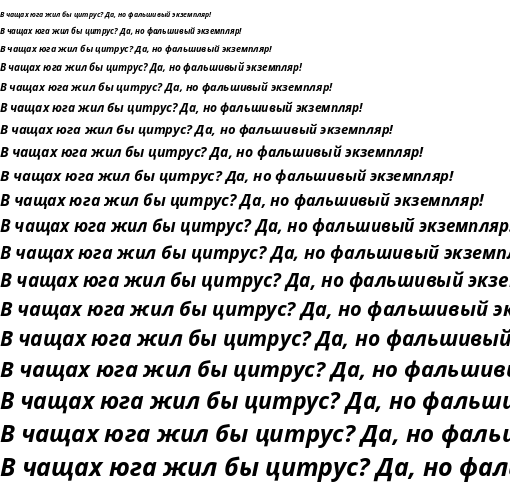 Specimen for Noto Sans Bold Italic (Cyrillic script).