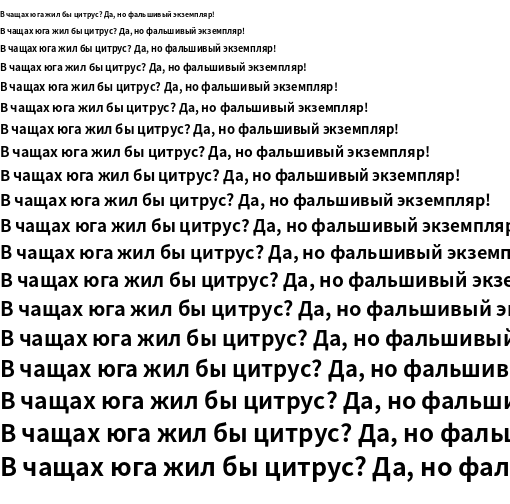 Specimen for Noto Sans CJK HK Bold (Cyrillic script).