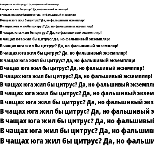 Specimen for Noto Sans Condensed Black (Cyrillic script).