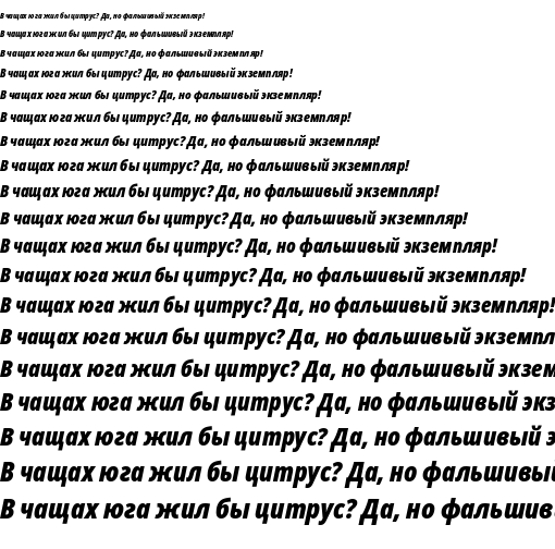 Specimen for Noto Sans Condensed Black Italic (Cyrillic script).
