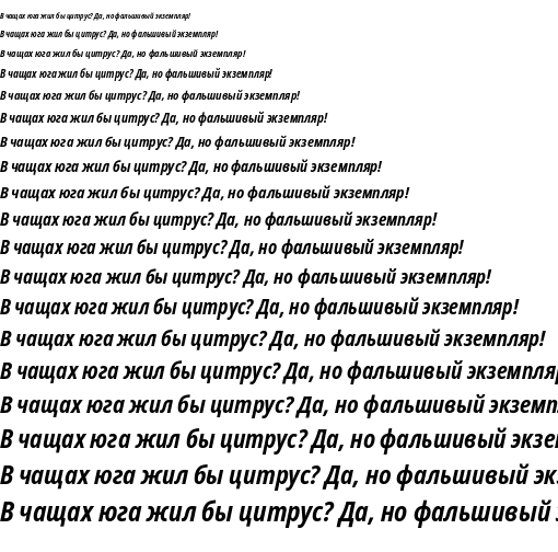 Specimen for Noto Sans Condensed Bold Italic (Cyrillic script).