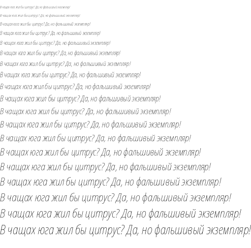 Specimen for Noto Sans Condensed Thin Italic (Cyrillic script).