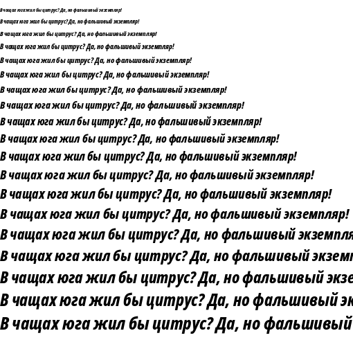 Specimen for Noto Sans Display Condensed ExtraBold Italic (Cyrillic script).