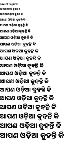 Specimen for Noto Sans Oriya Bold (Oriya script).