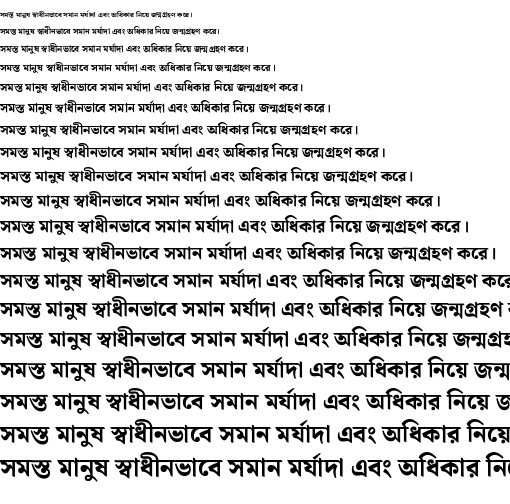 Specimen for Noto Serif Bengali ExtraBold (Bengali script).