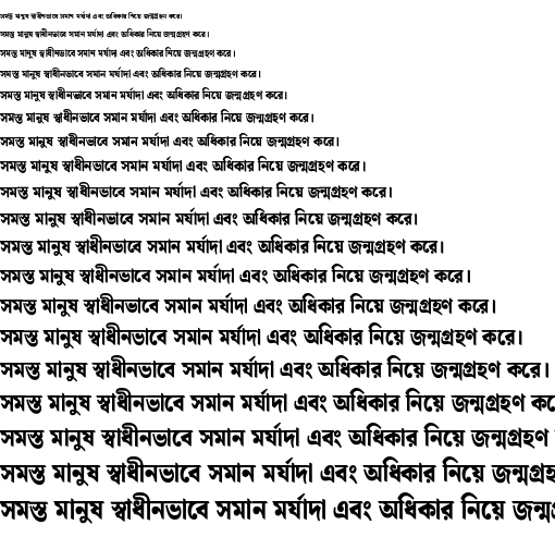 Specimen for Noto Serif Bengali ExtraCondensed Black (Bengali script).