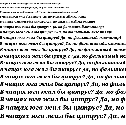Specimen for Noto Serif Black Italic (Cyrillic script).