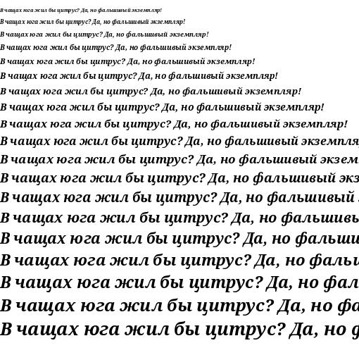 Specimen for Noto Serif Bold Italic (Cyrillic script).